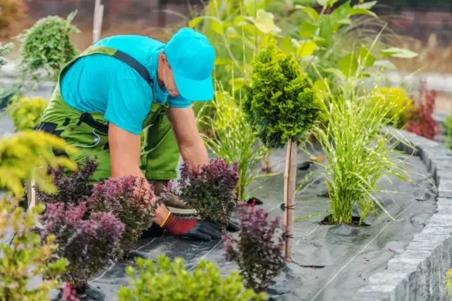 Gardening Services